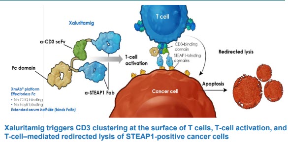 ASCO 2026 – Xaluritamig beim mCRPC