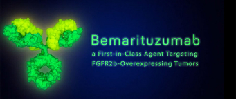 Bemarituzumab