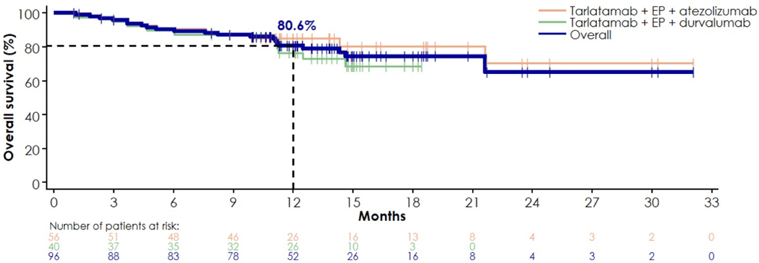 Abbildung 2: Gesamtüberleben bei 1L Tarlatamab in Kombination mit Chemoimmuntherapie.