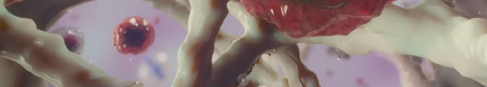 minimale-resterkrankung-beim-multiplen-myelom-und-der-akuten-lymphatischen-leukamie