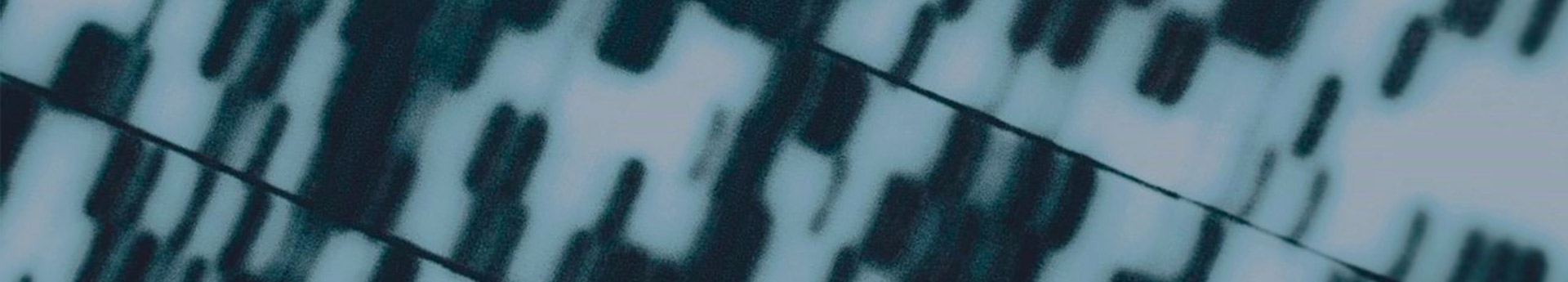 asco-2024-kras-g12c-mutierter-nsclc