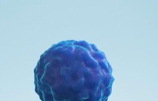 video-zum-mechanismus-der-tumorentstehung-bei-kras